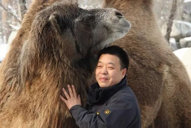 六扇门之血虫谜案