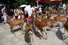 六个说谎的大学生