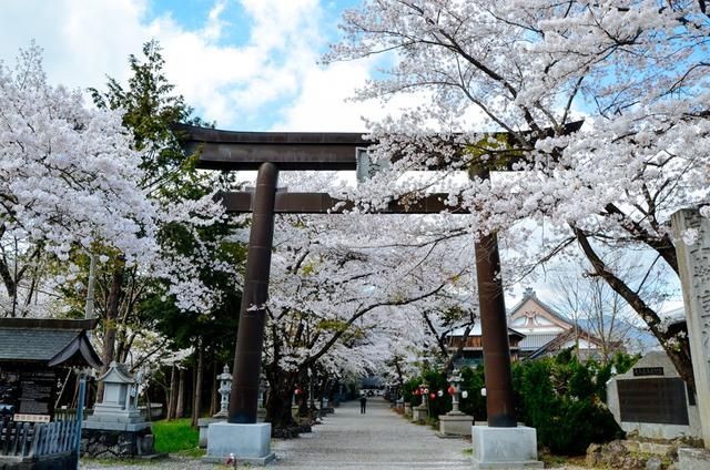 六小时后你将死去